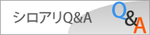 シロアリQ&A