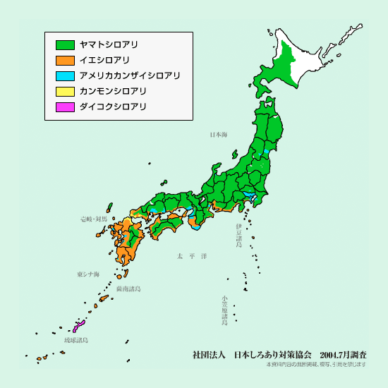 シロアリの分布